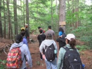 picture of a group of children on a hike