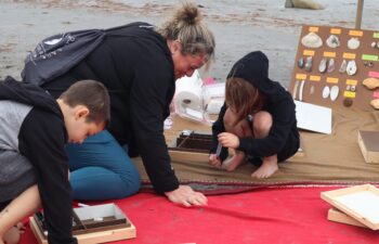Beachcombers 2024 (22)